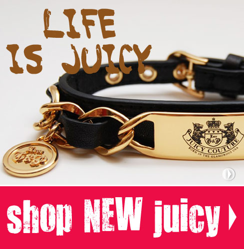 juicy couture dog collar