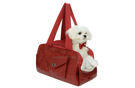 Dog Carrier